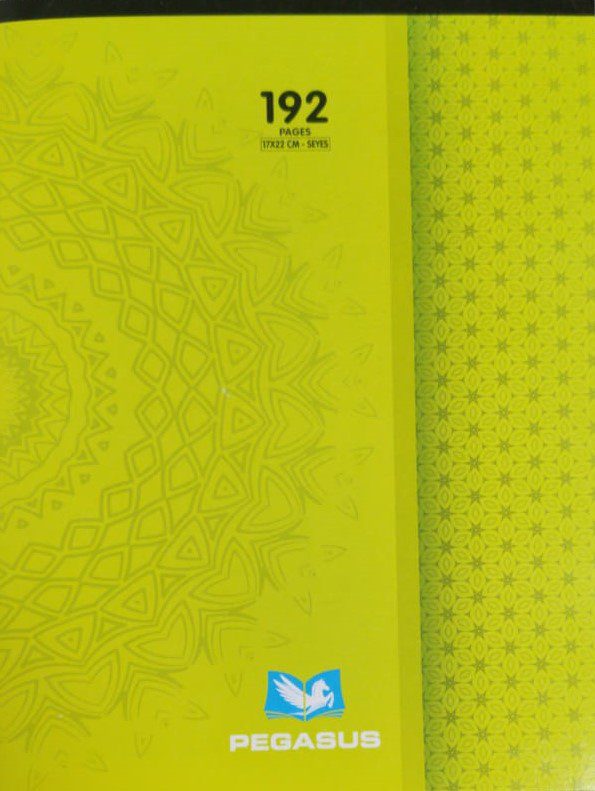 Cahier 192P pique A4 10*10 PEGASUS