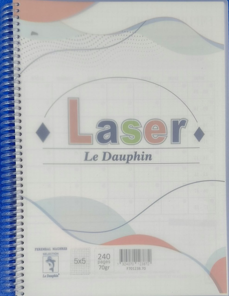 Cahier Spirale 240 Pages 5*5 A4