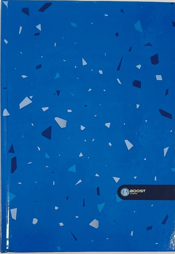 Registre Boost A4 480p Bleu 5x5