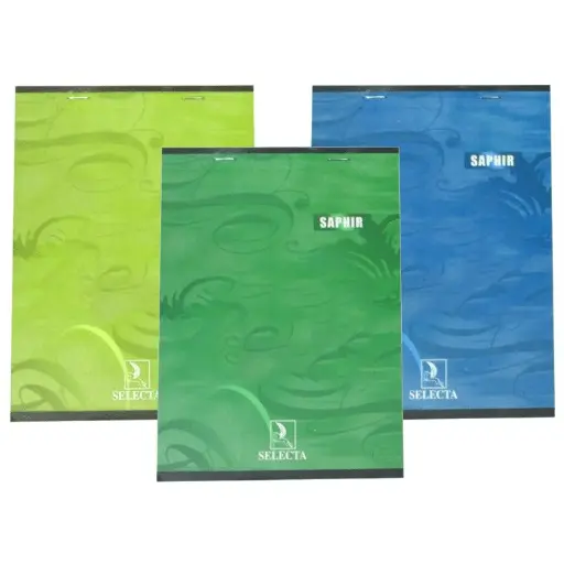 [AR0002598] Cahier 192p A4 Pique Safir
