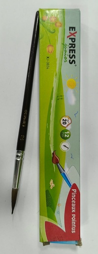 [AR0002667] Pinceau Unite N20 Pointu Express