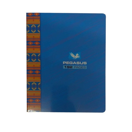 [AR0002899] Cahier 192p 17x22 Pegasus